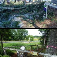 Before (top) and After (bottom) photos of a fence section that was repaired following damage caused by a fallen tree limb.